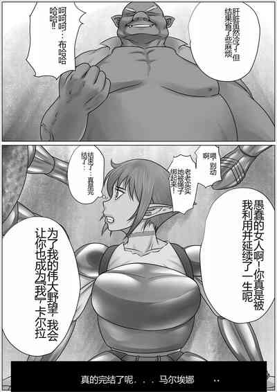第17页图