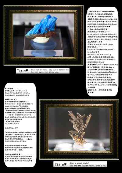 第49頁圖
