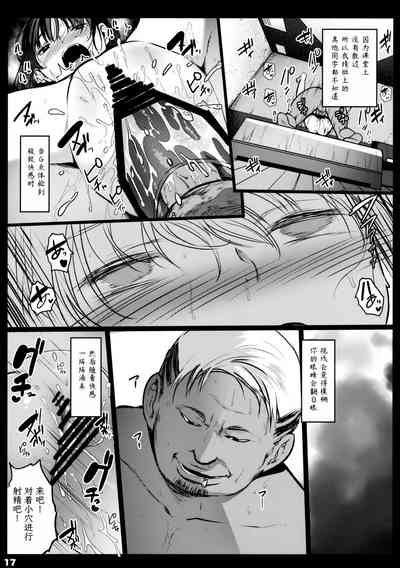 第17页图