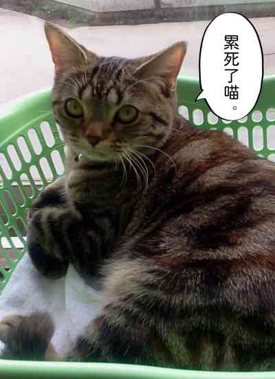 第65页图