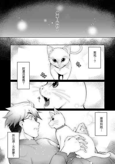 第41頁圖