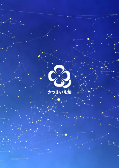 第33页图