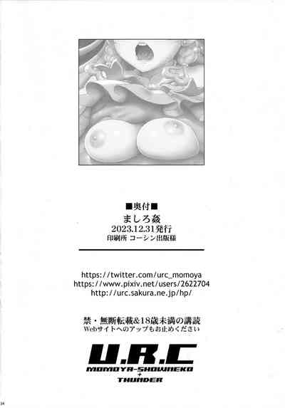 第33頁圖