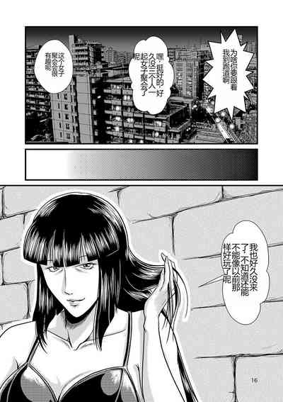 第17页图