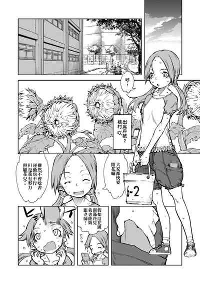 第81頁圖