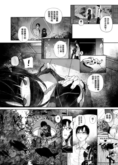第13页图
