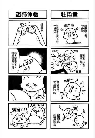 第25页图
