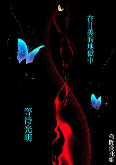 第61頁圖