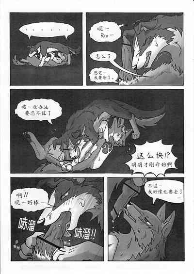 第13頁圖