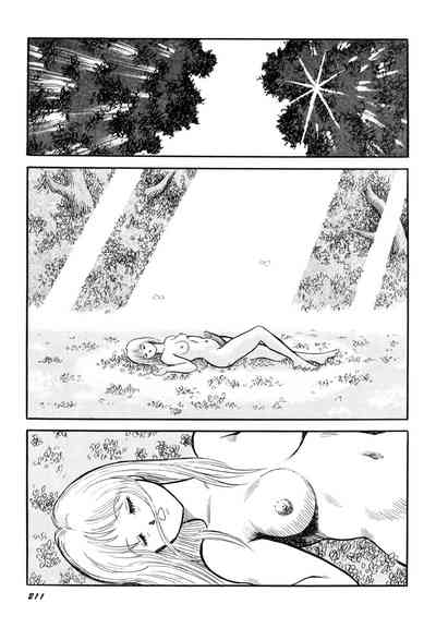 第213頁圖