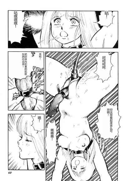 第65頁圖