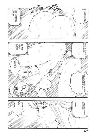 第205頁圖