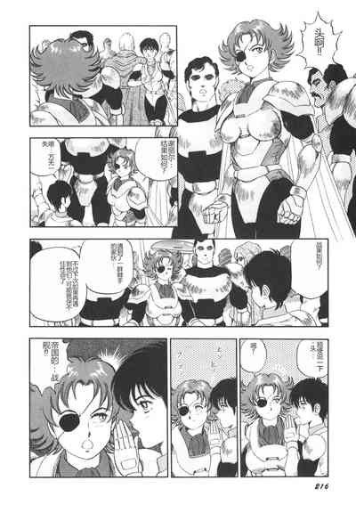 第217頁圖