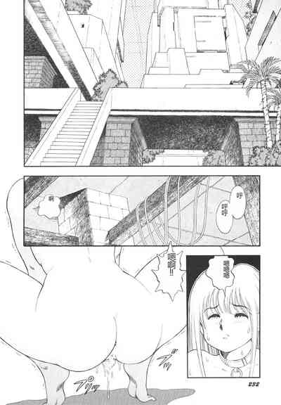 第233頁圖
