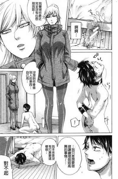 第521頁圖