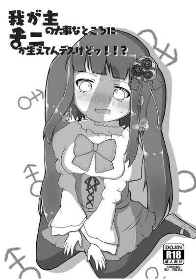 第1頁圖