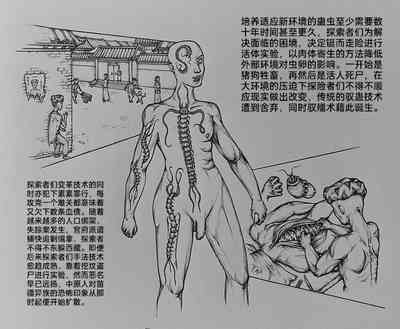第41頁圖