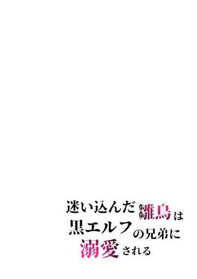 第29頁圖