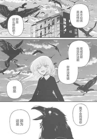 第17页图