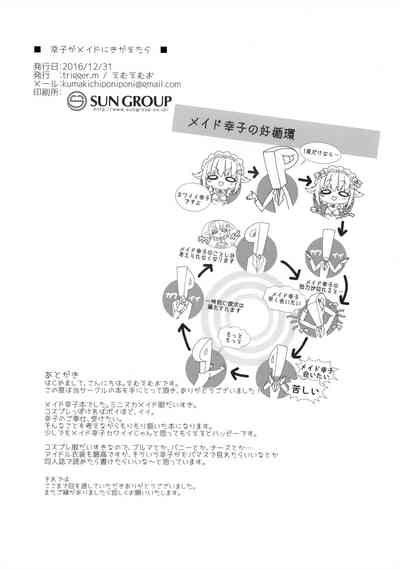 第17页图