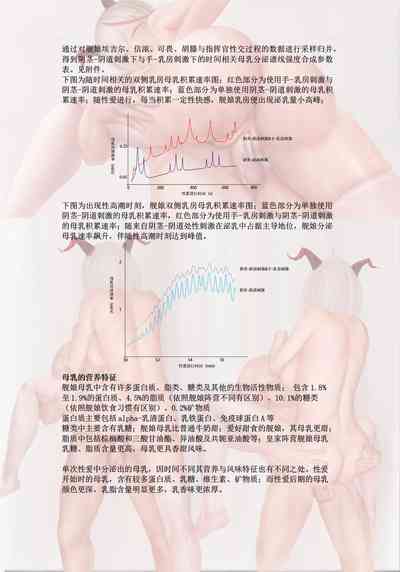 第277頁圖