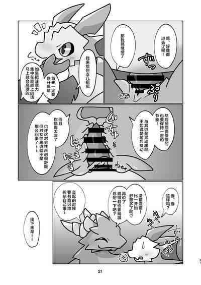 第21頁圖