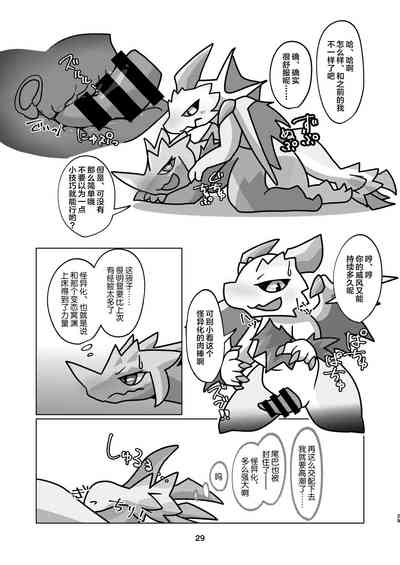 第29頁圖