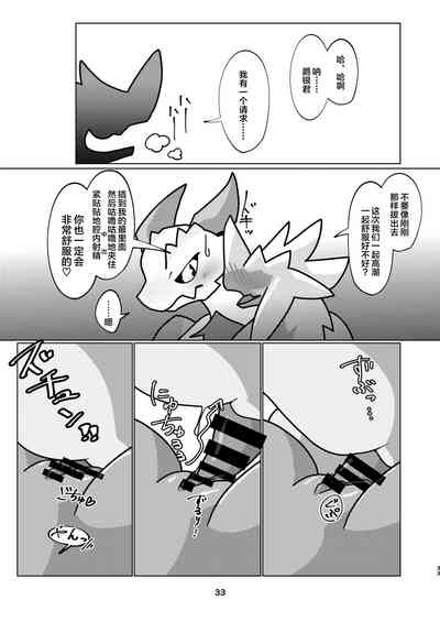 第33頁圖