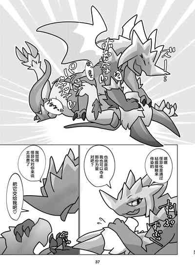 第37頁圖