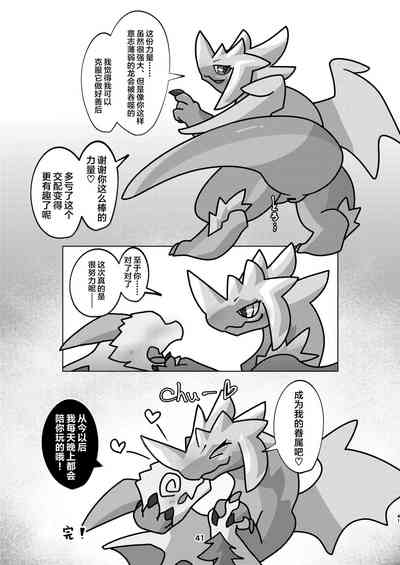 第41頁圖
