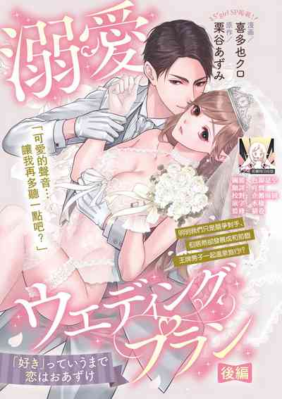 第29頁圖