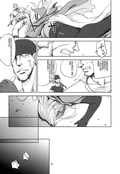 第25页图