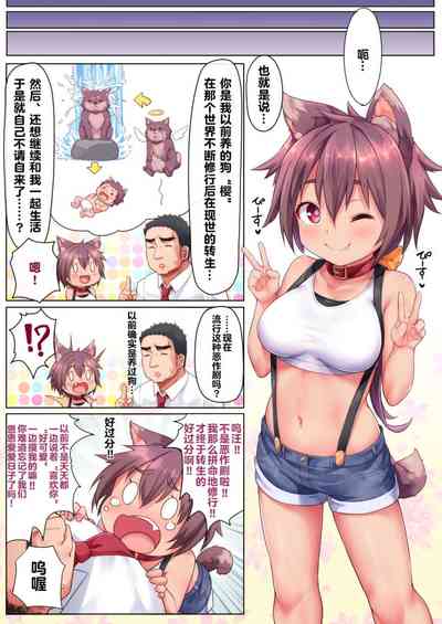 第5页图