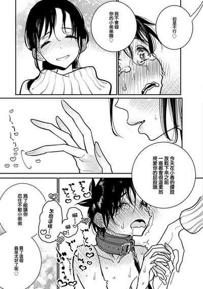 第497頁圖