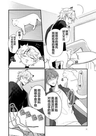 第37页图