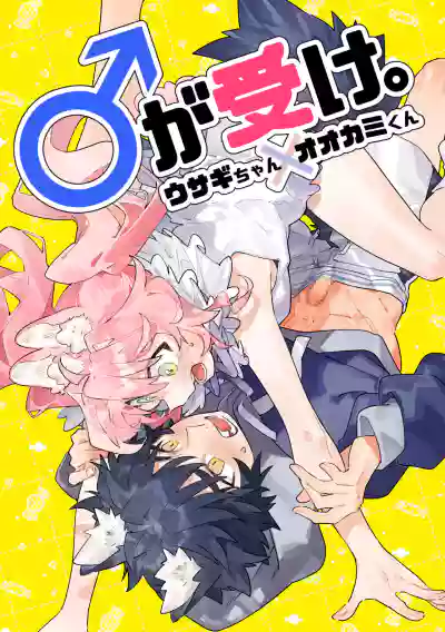第1页图