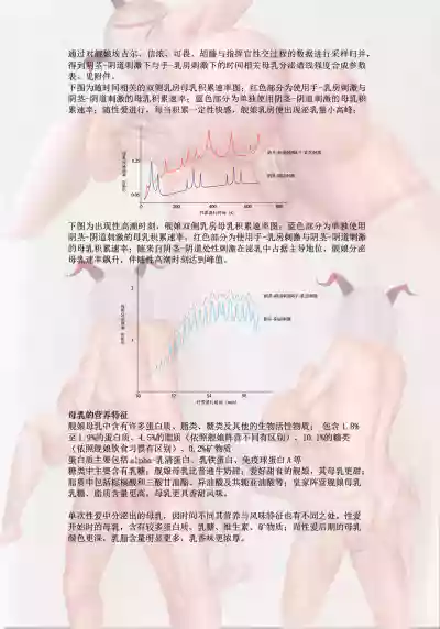 第297頁圖