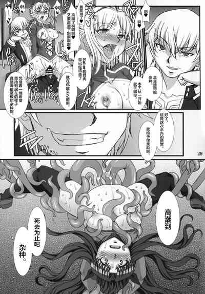 第29頁圖