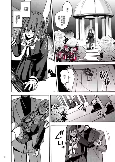 第45頁圖