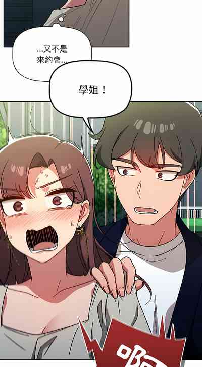 第381頁圖