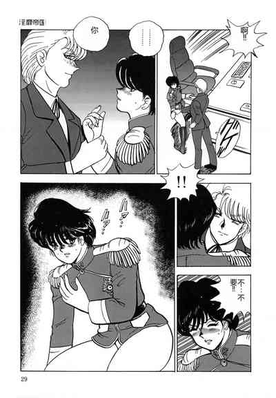 第29頁圖