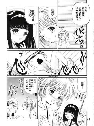 第33页图