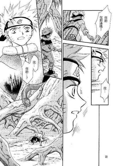 第21頁圖