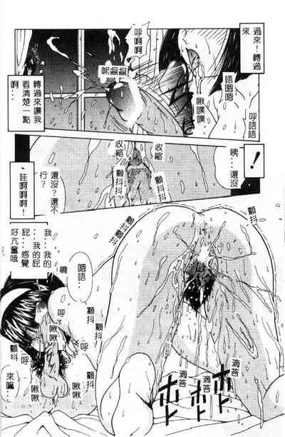 第61頁圖