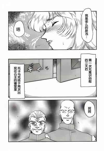 第17页图