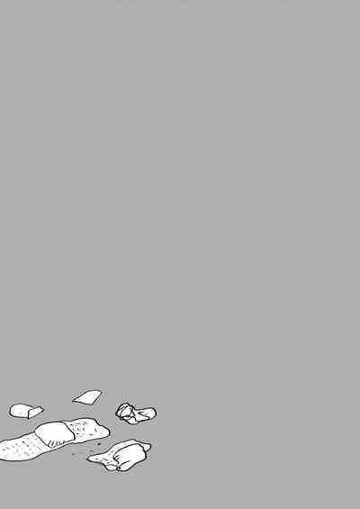 第33页图