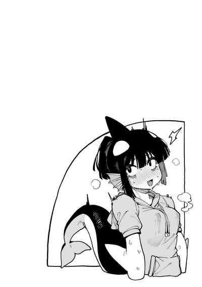 第113页图