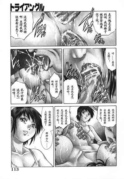 第113页图