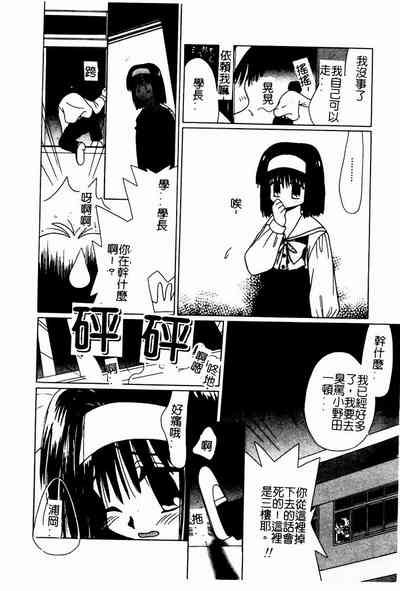 第29頁圖
