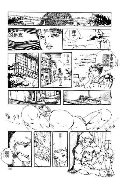 第185頁圖